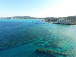 ☆海の宝物☆