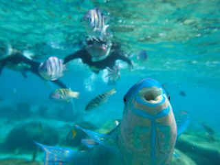 シモカワさんペアの奇跡の一枚🐠✨