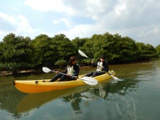 ホノカちゃんとマユちゃんの女子旅マングローブツアー💙