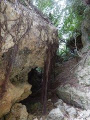 カヤックで行ける無人島。。。。？