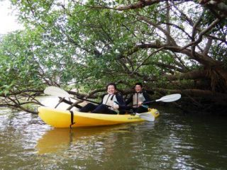 マングローブカヤック🌲withヒラさん＆トッシー★