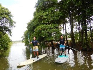 マングローブSUP🏄