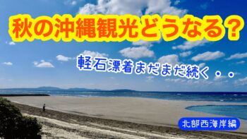 【11月版】秋の沖縄の海に次々に漂着する軽石。海の緊急事態の現状をお伝えします。