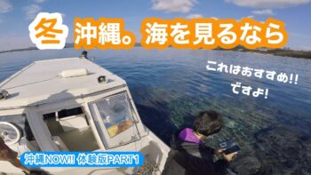 【新体験版】冬の沖縄の海はどう楽しむ？ジュゴンが棲むといわれる大浦湾をグラスボート体験しながら楽しさお伝えします！