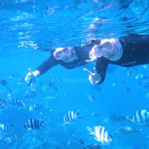 As soon as we will start the snorkeling, you will be amazed by the numerous fishes ready to try to kiss your fingers.