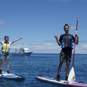 We will start paddling knees on the board which is easier to start. As soon as you get used to it, we will try to stand on the board. You will start to feel proud and great.