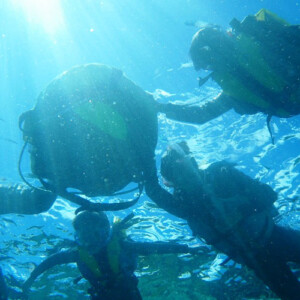 We will bring a float during the tour, you are not required to know how to
swim.